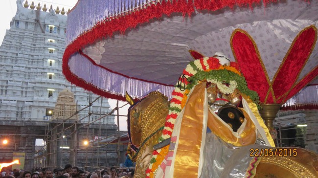 Kanchi Sri Devarajaswami Temple Vasanthotsavam day 7 2015-31