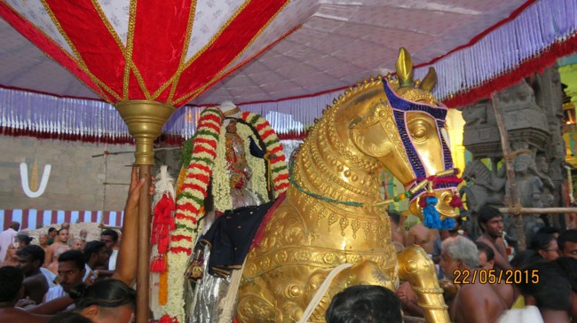 Kanchi Sri Devarajaswami Temple Vasanthotsavam day 7 2015-32