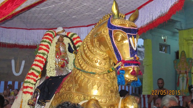 Kanchi Sri Devarajaswami Temple Vasanthotsavam day 7 2015-33