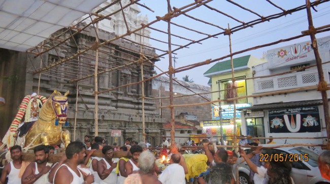 Kanchi Sri Devarajaswami Temple Vasanthotsavam day 7 2015-35