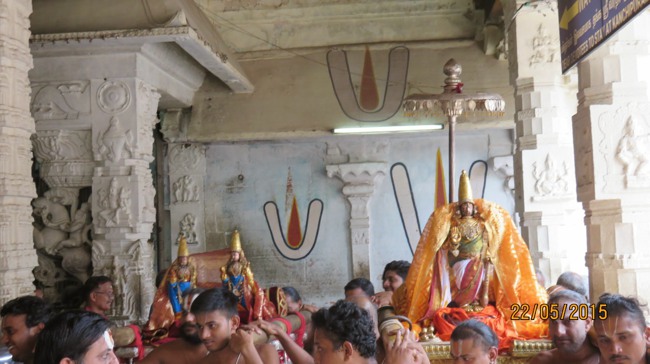 Kanchi Sri Devarajaswami Temple Vasanthotsavam day 7 2015-59