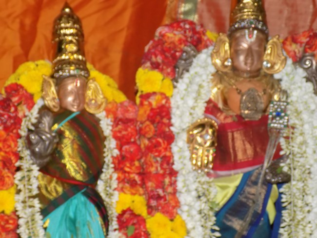 Madipakkam Sri Oppilliappan Pattabhisheka Ramar Temple Sri Nammazhwar Thirunakshatra Utsavam18