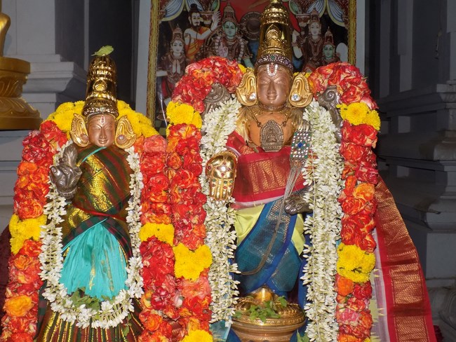 Madipakkam Sri Oppilliappan Pattabhisheka Ramar Temple Sri Nammazhwar Thirunakshatra Utsavam9