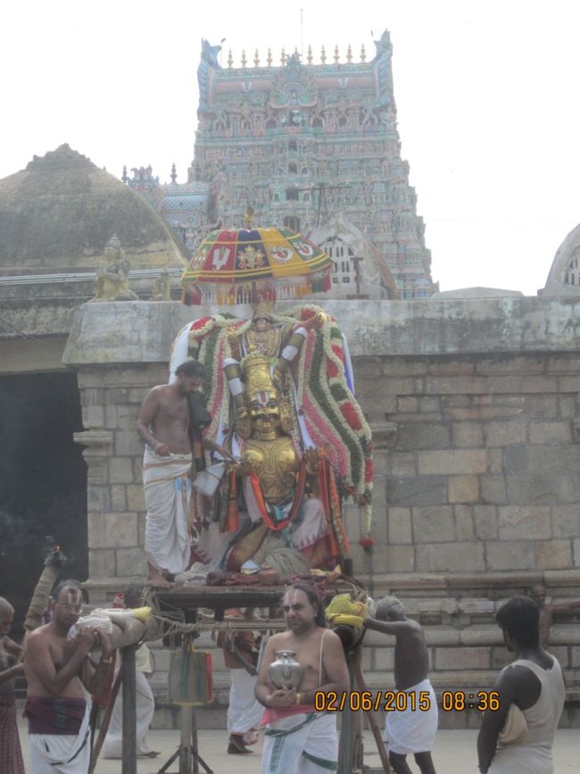 Mannargudi Sri Rajagopalaswamy Temple Vaigasi Visaga Garudasevai Utsavam (17)