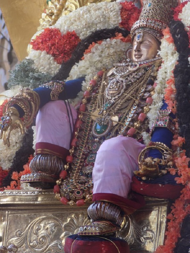 Mylapore SVDD Srinivasa Perumal Temple Manmadha Varusha Brahmotsavam10