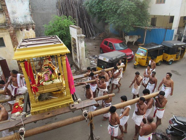 Mylapore SVDD Srinivasa Perumal Temple Manmadha Varusha Brahmotsavam10