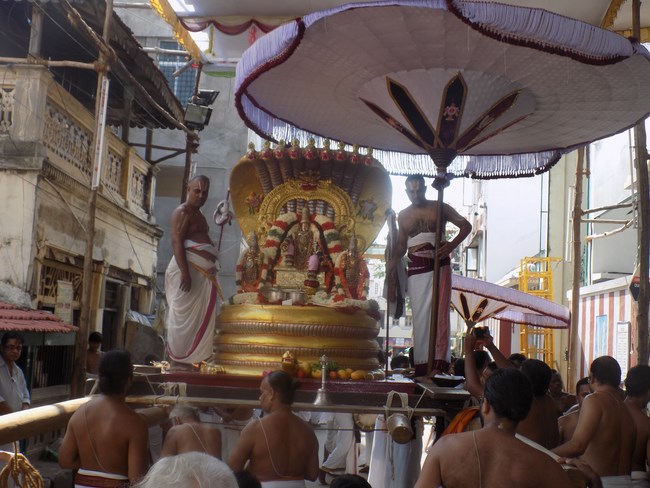 Mylapore SVDD Srinivasa Perumal Temple Manmadha Varusha Brahmotsavam11