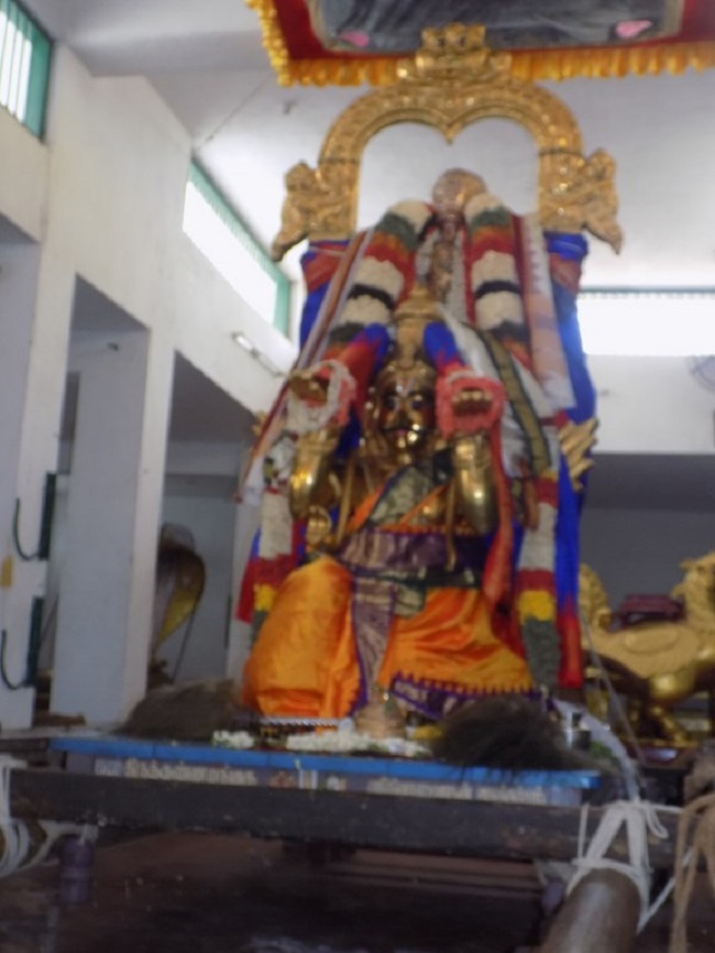 Mylapore SVDD Srinivasa Perumal Temple Manmadha Varusha Brahmotsavam13