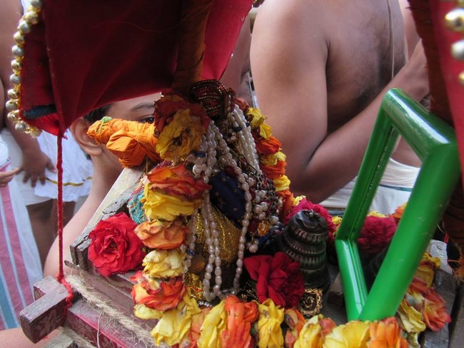 Mylapore SVDD Srinivasa Perumal Temple Manmadha Varusha Brahmotsavam14