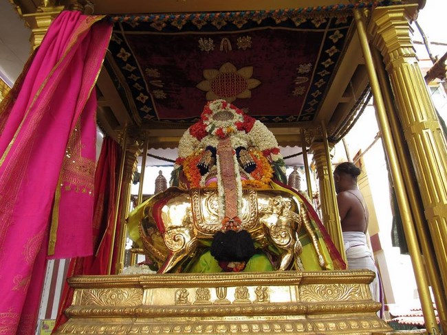 Mylapore SVDD Srinivasa Perumal Temple Manmadha Varusha Brahmotsavam15