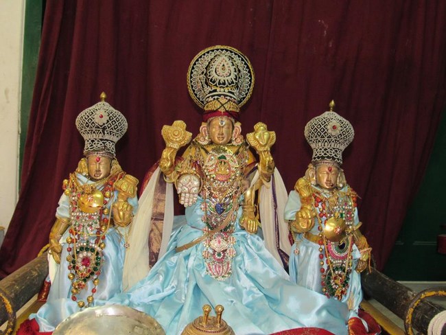 Mylapore SVDD Srinivasa Perumal Temple Manmadha Varusha Brahmotsavam16