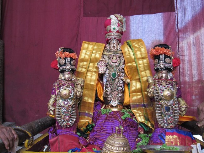 Mylapore SVDD Srinivasa Perumal Temple Manmadha Varusha Brahmotsavam18