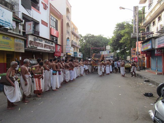 Mylapore SVDD Srinivasa Perumal Temple Manmadha Varusha Brahmotsavam1