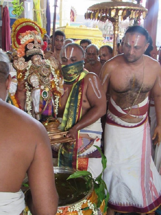 Mylapore SVDD Srinivasa Perumal Temple Manmadha Varusha Brahmotsavam19