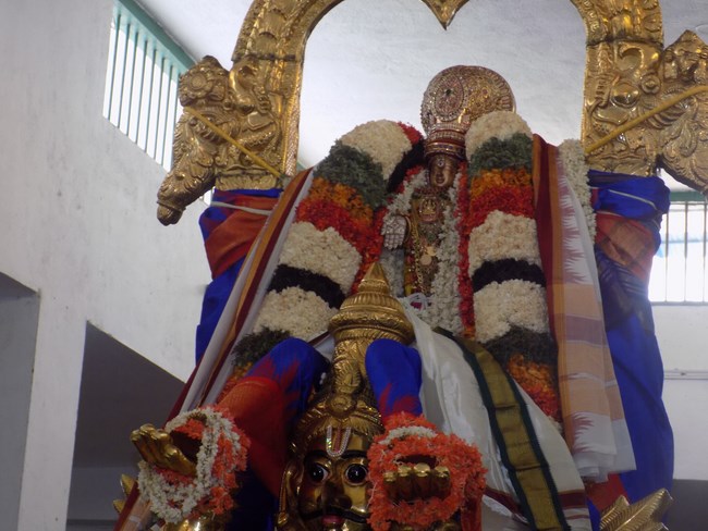 Mylapore SVDD Srinivasa Perumal Temple Manmadha Varusha Brahmotsavam2