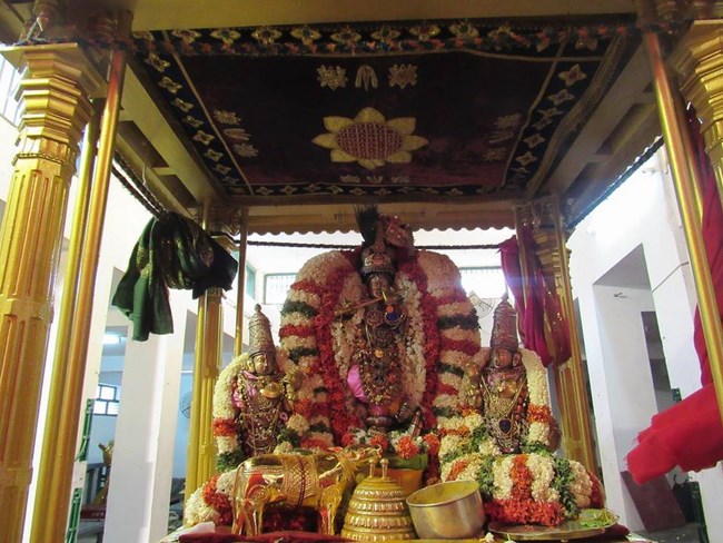 Mylapore SVDD Srinivasa Perumal Temple Manmadha Varusha Brahmotsavam2
