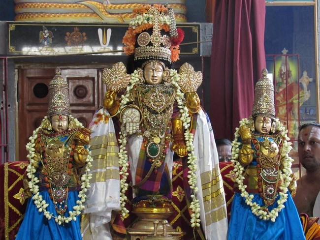 Mylapore SVDD Srinivasa Perumal Temple Manmadha Varusha Brahmotsavam22
