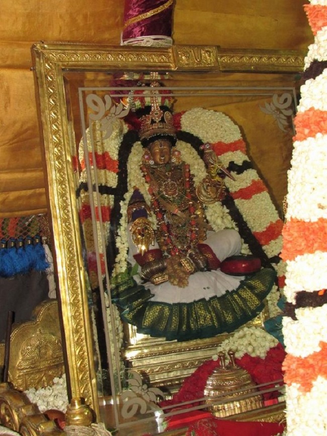 Mylapore SVDD Srinivasa Perumal Temple Manmadha Varusha Brahmotsavam24