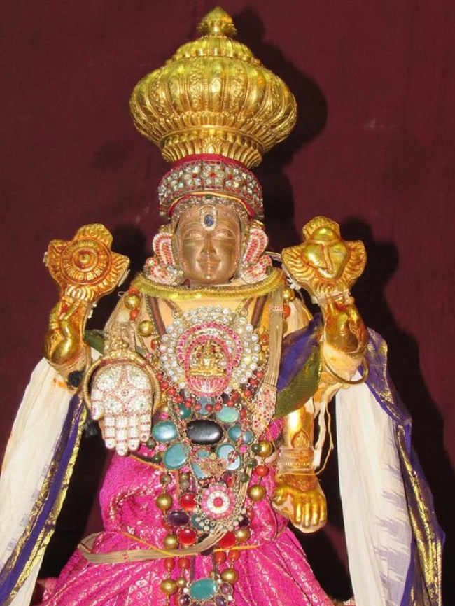 Mylapore SVDD Srinivasa Perumal Temple Manmadha Varusha Brahmotsavam26