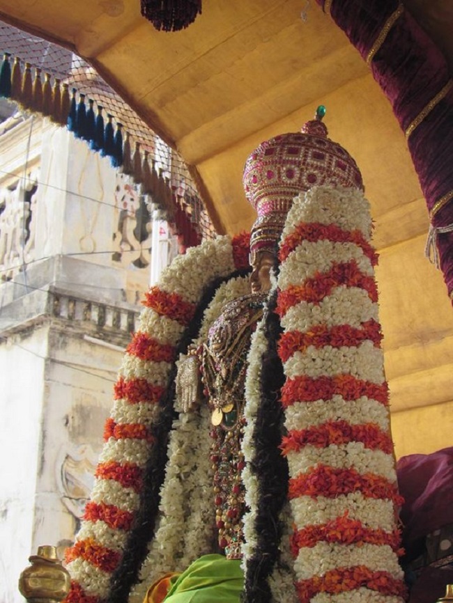 Mylapore SVDD Srinivasa Perumal Temple Manmadha Varusha Brahmotsavam26