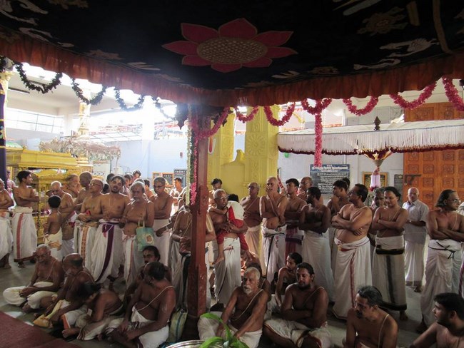 Mylapore SVDD Srinivasa Perumal Temple Manmadha Varusha Brahmotsavam27