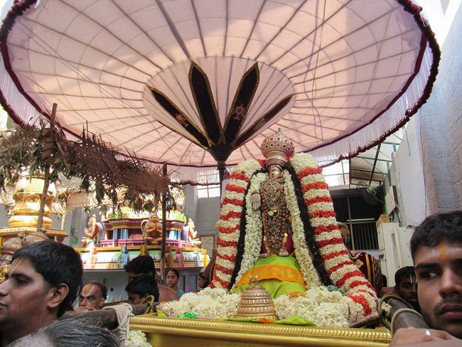 Mylapore SVDD Srinivasa Perumal Temple Manmadha Varusha Brahmotsavam30