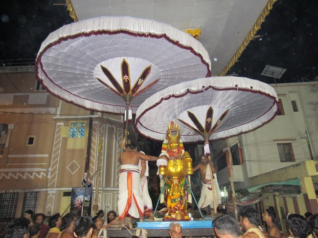 Mylapore SVDD Srinivasa Perumal Temple Manmadha Varusha Brahmotsavam34