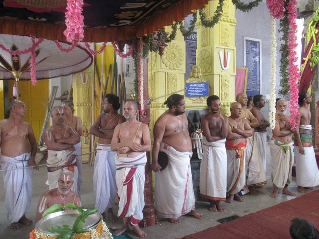 Mylapore SVDD Srinivasa Perumal Temple Manmadha Varusha Brahmotsavam4