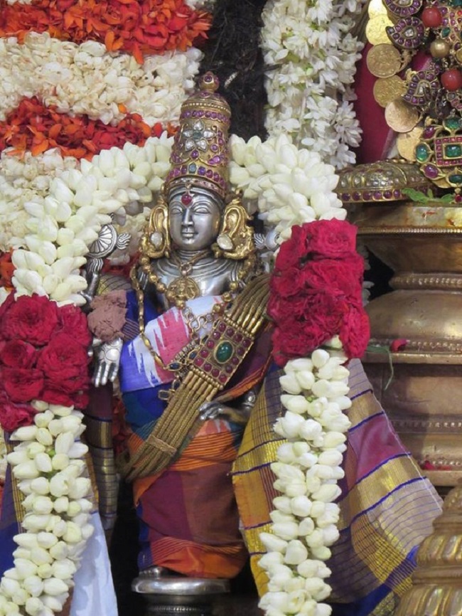Mylapore SVDD Srinivasa Perumal Temple Manmadha Varusha Brahmotsavam8