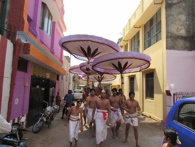 Mylapore SVDD Srinivasa Perumal Temple Manmadha Varusha Brahmotsavam9