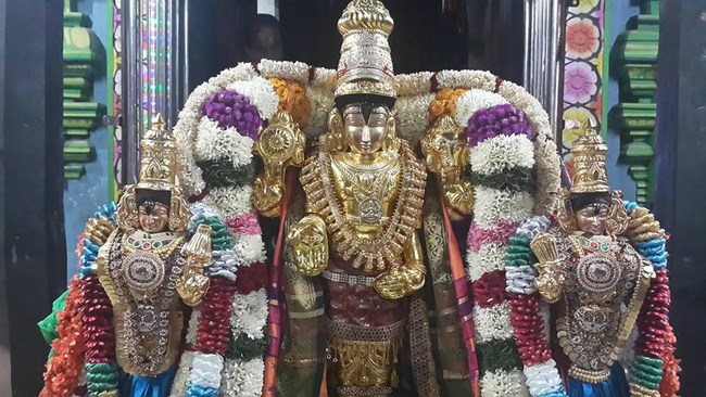 Pondicherry Sri Srinivasa Perumal Temple Brahmotsavam16