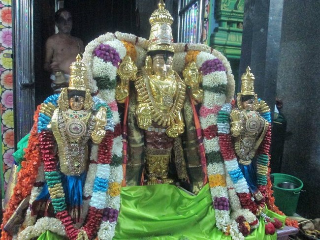 Pondicherry Sri Srinivasa Perumal Temple Brahmotsavam21