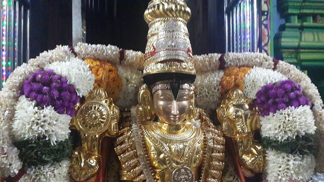 Pondicherry Sri Srinivasa Perumal Temple Brahmotsavam22