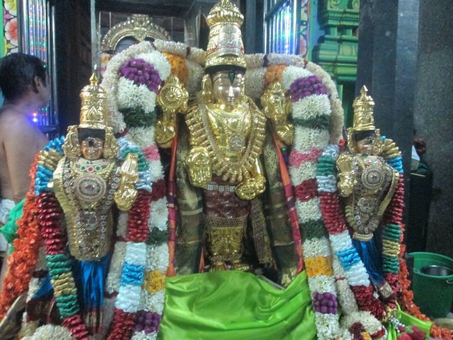 Pondicherry Sri Srinivasa Perumal Temple Brahmotsavam24