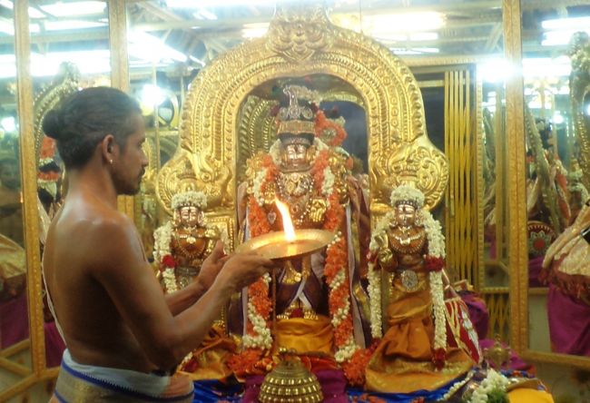 Sri Azhagiya singaperumal Kovil -Thiruvellukai (11)