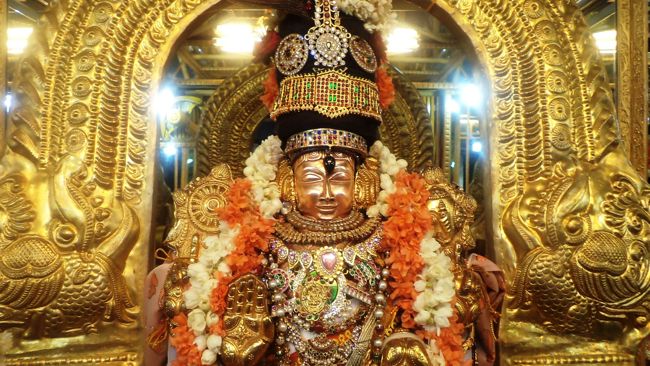 Sri Azhagiya singaperumal Kovil -Thiruvellukai (24)