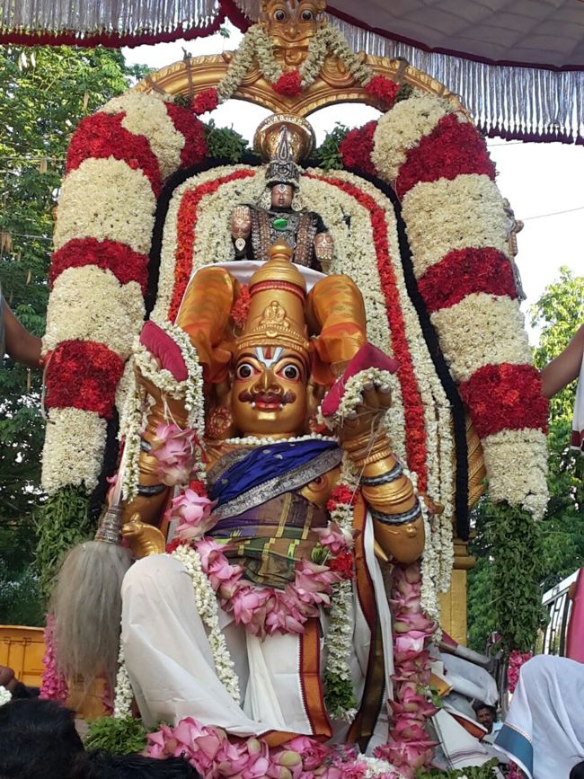 Sri Damodara Perumal Brahmotsavm Villivakkam(20)