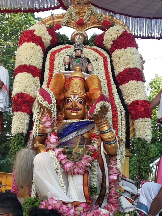 Sri Damodara Perumal Brahmotsavm Villivakkam(21)