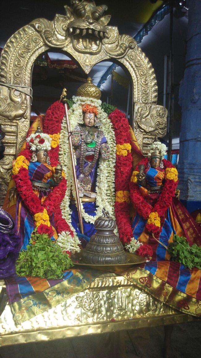 Sri Damodara Perumal Brahmotsavm Villivakkam(22)