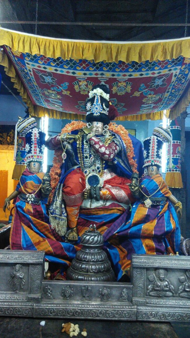 Sri Damodara Perumal Brahmotsavm Villivakkam(26)