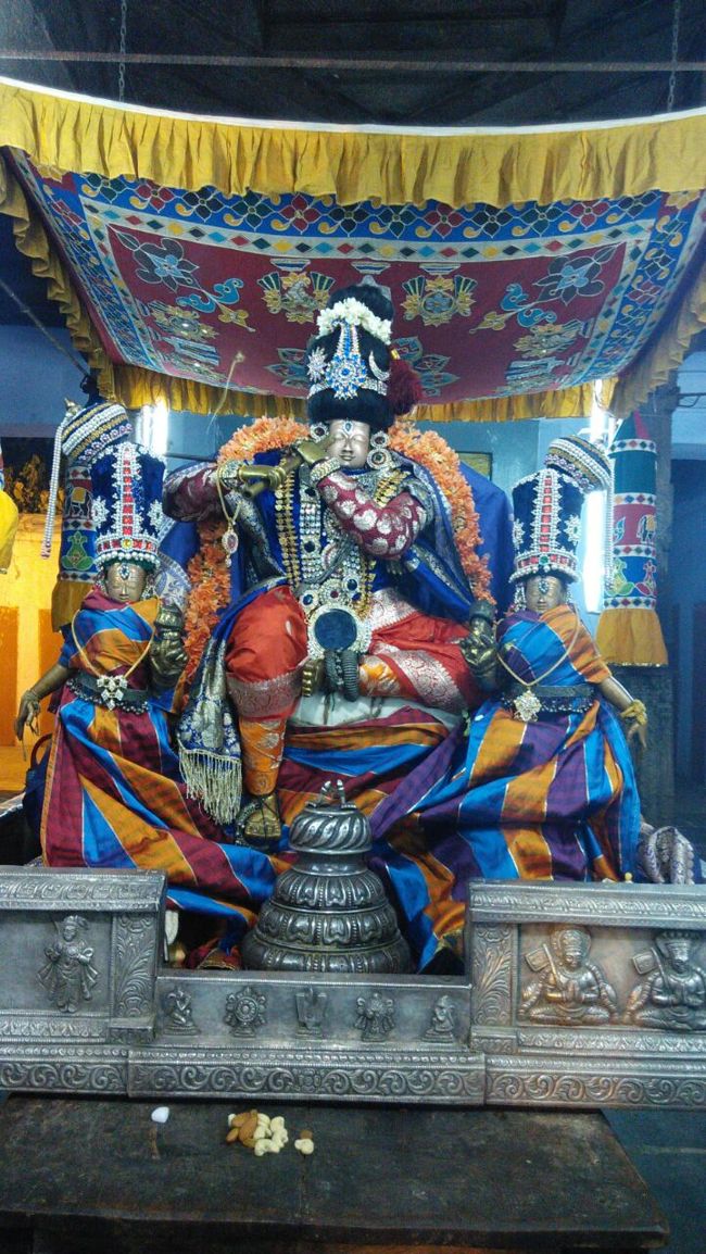 Sri Damodara Perumal Brahmotsavm Villivakkam(28)