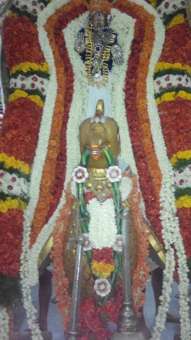 Sri Damodara Perumal Brahmotsavm Villivakkam(4)