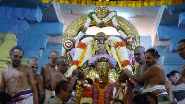 Sri Perarulalan Barahmotsavam Garuda Sevai Kanchi (11)