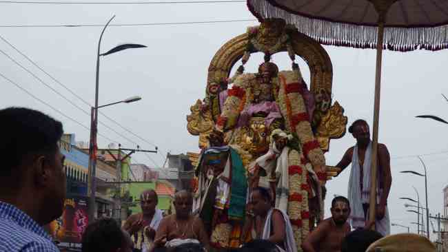 Sri Perarulalan Barahmotsavam Garuda Sevai Kanchi (36)