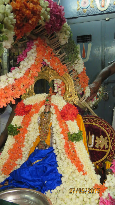 Sri Perarulalan Selvar utsavam-Kanchi (10)