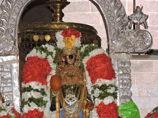 Sri Ranganatha swamy Temple Nellalavai seavi  (2)