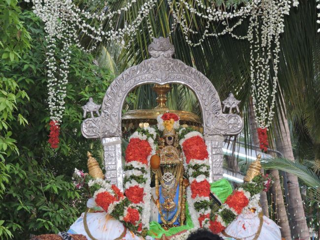 Sri Ranganatha swamy Temple Nellalavai seavi  (26)