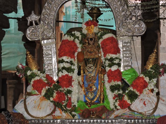 Sri Ranganatha swamy Temple Nellalavai seavi  (4)