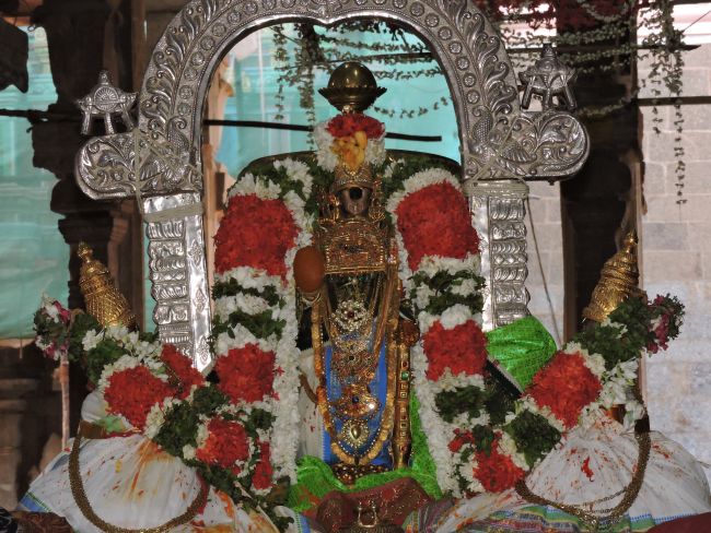 Sri Ranganatha swamy Temple Nellalavai seavi  (5)
