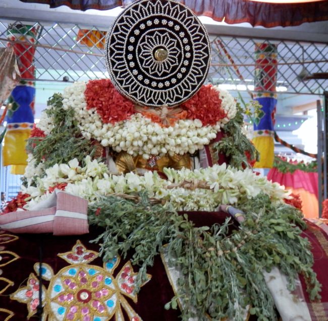 Sri Srinivasa Perumal Kalyanostavam Sriperumbudur (13)